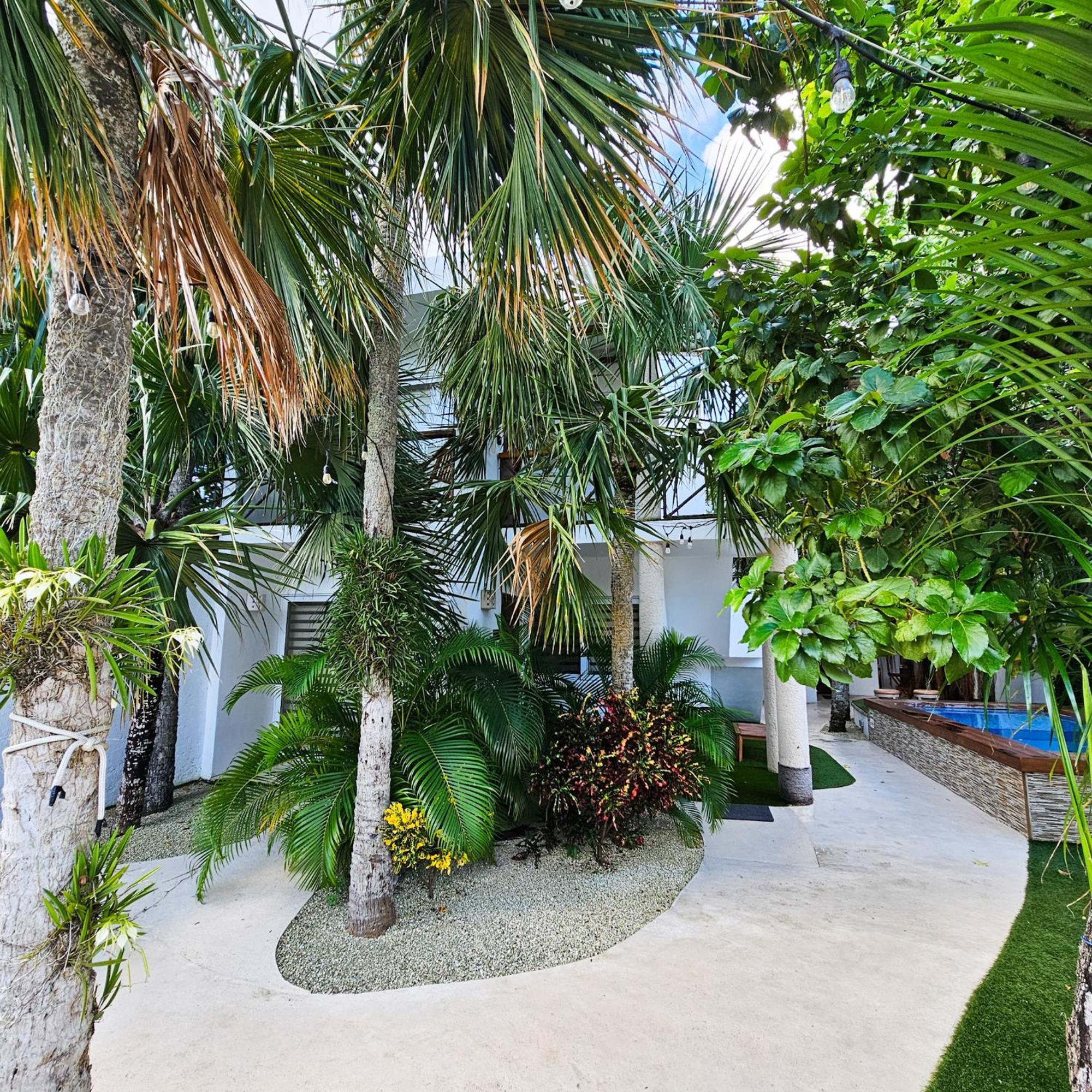 Sayu - Suites Cozumel Extérieur photo